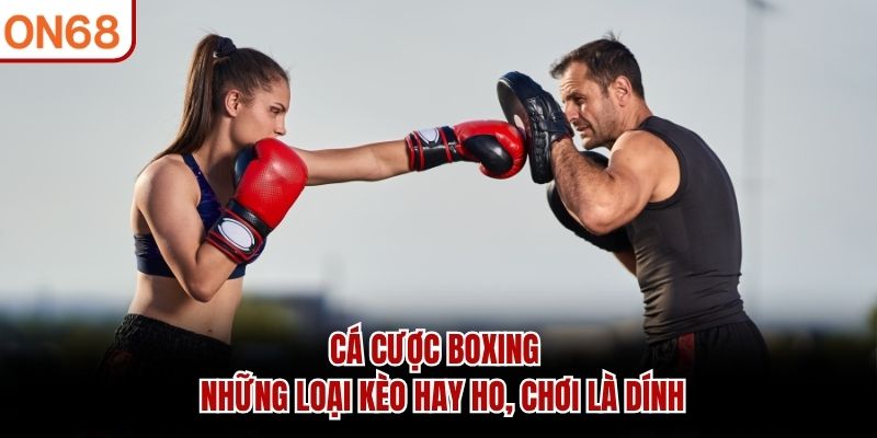 Cá Cược Boxing