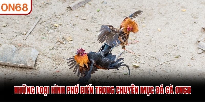 Những loại hình phổ biến trong chuyên mục Đá Gà ON68