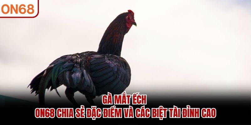 gà mắt ếch